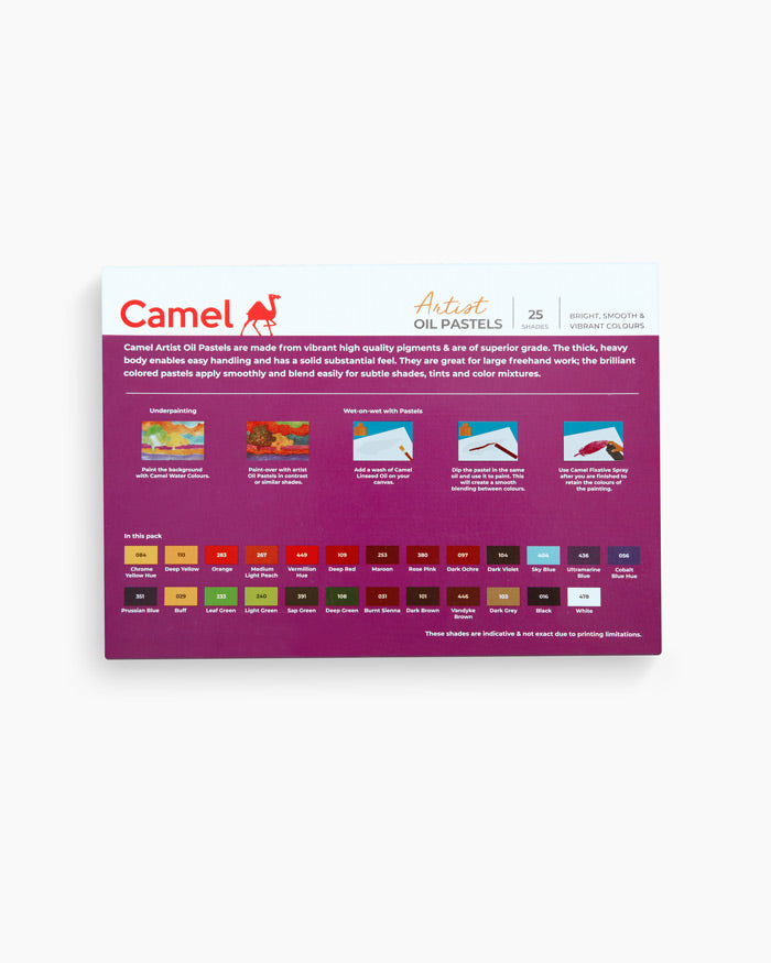 Artist Oil Pastels 25 Shades