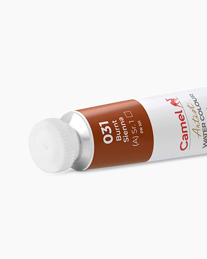 Burnt Sienna (031) 20ml (WC)