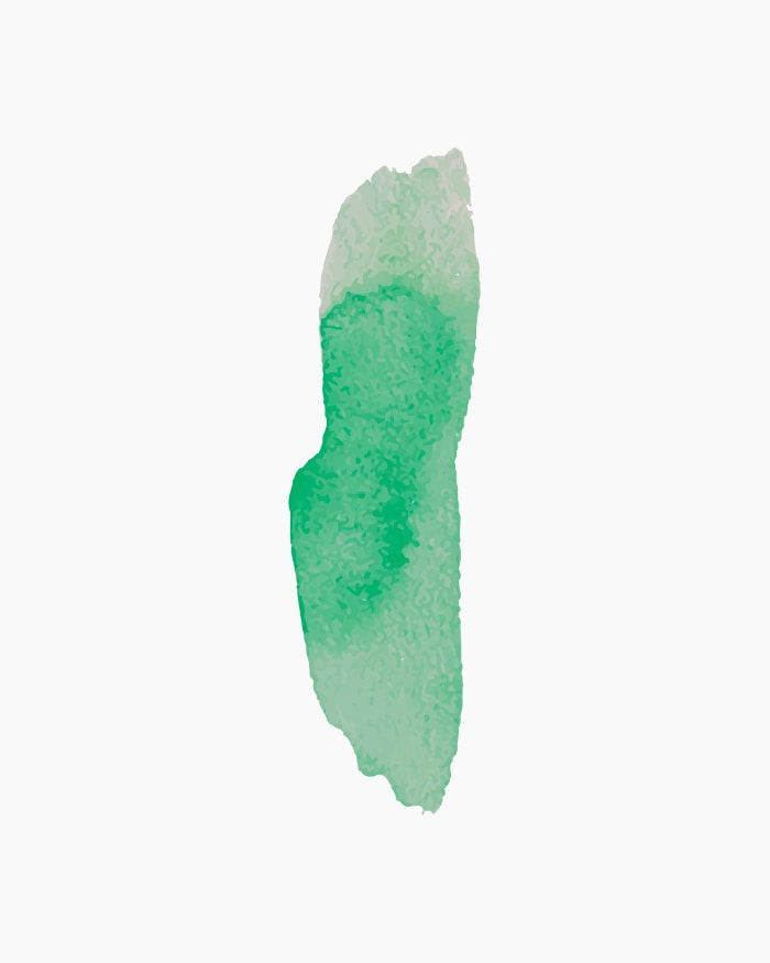 Photo Transparent Color Dark Green (102) 20ml