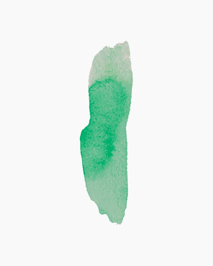 Photo Transparent Color Dark Green (102) 20ml