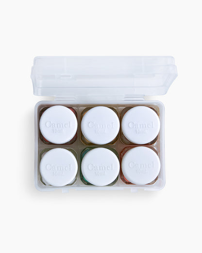 Assorted pack of 6 shades in 10 ml, Metalic range