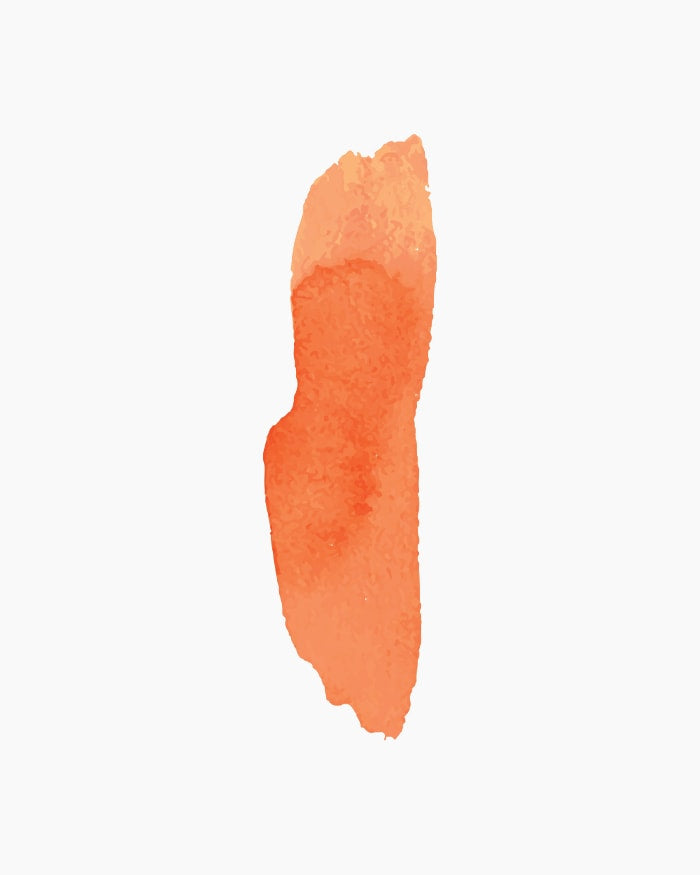 Photo Transparent Color Light Peach (234) 20ml