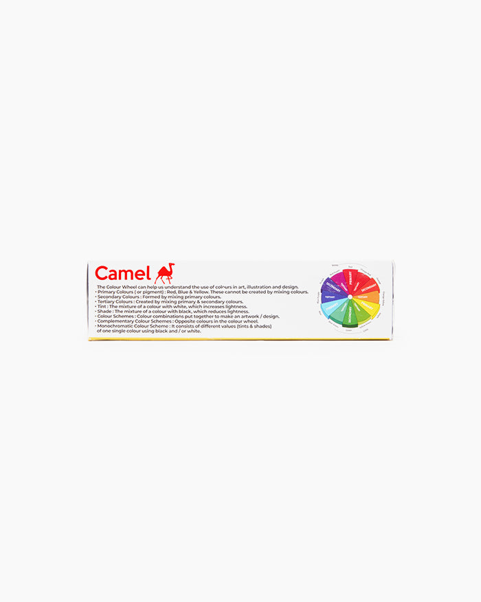 Premium Poster Colour Assorted pack of 12 shades in 10ml